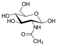 411px-N-Acetylglucosamine
