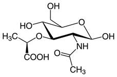 411px-N-Acetylmuramic_acid
